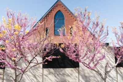 Clementine Hall photo