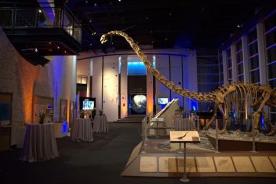 Adventure Science Center photo