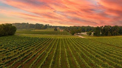 Arrington Vineyards
