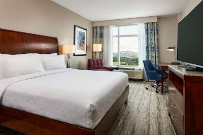 Hilton Garden Inn Nashville Downtown/Convention Center photo