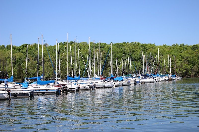 The Cove at Elm Hill Marina photo