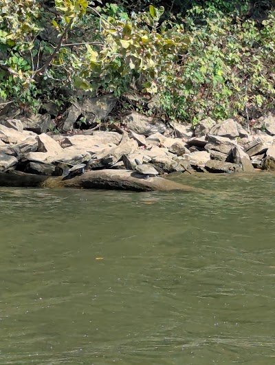 Riverview Pavilion photo
