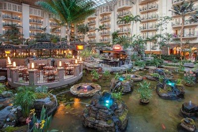 Gaylord Opryland Resort photo
