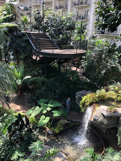 Garden Conservatory at the Gaylord Opryland photo