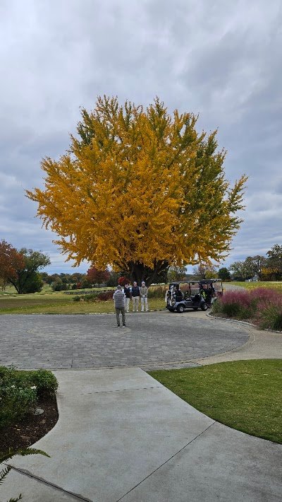 Hillwood Country Club photo