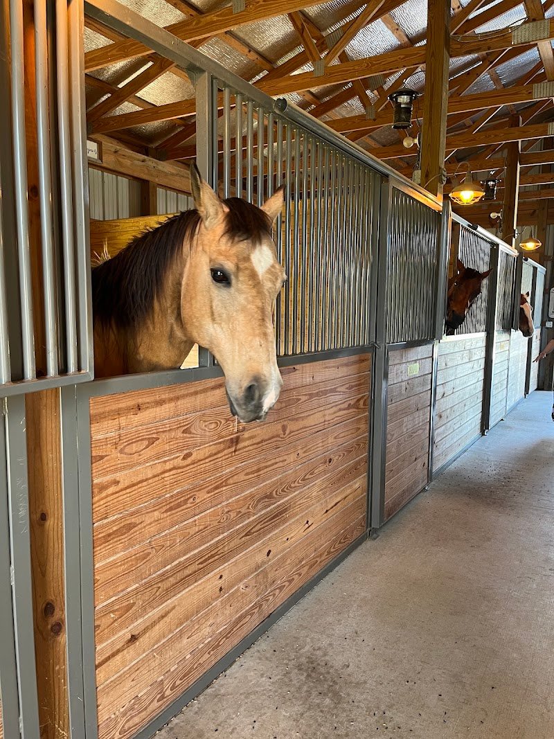 Equine Social Nashville