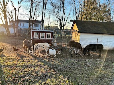 Breezy Hill Farms TN photo