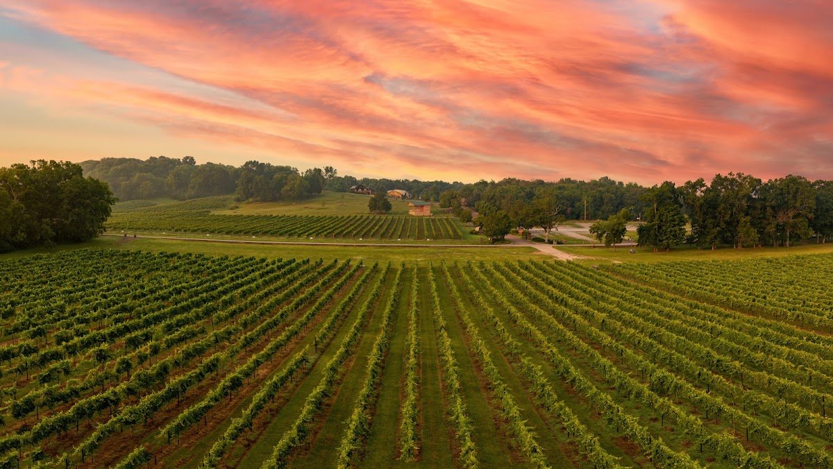 Arrington Vineyards