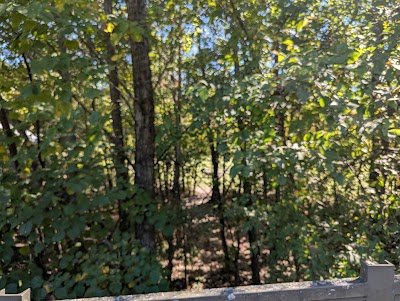 Riverview Pavilion photo
