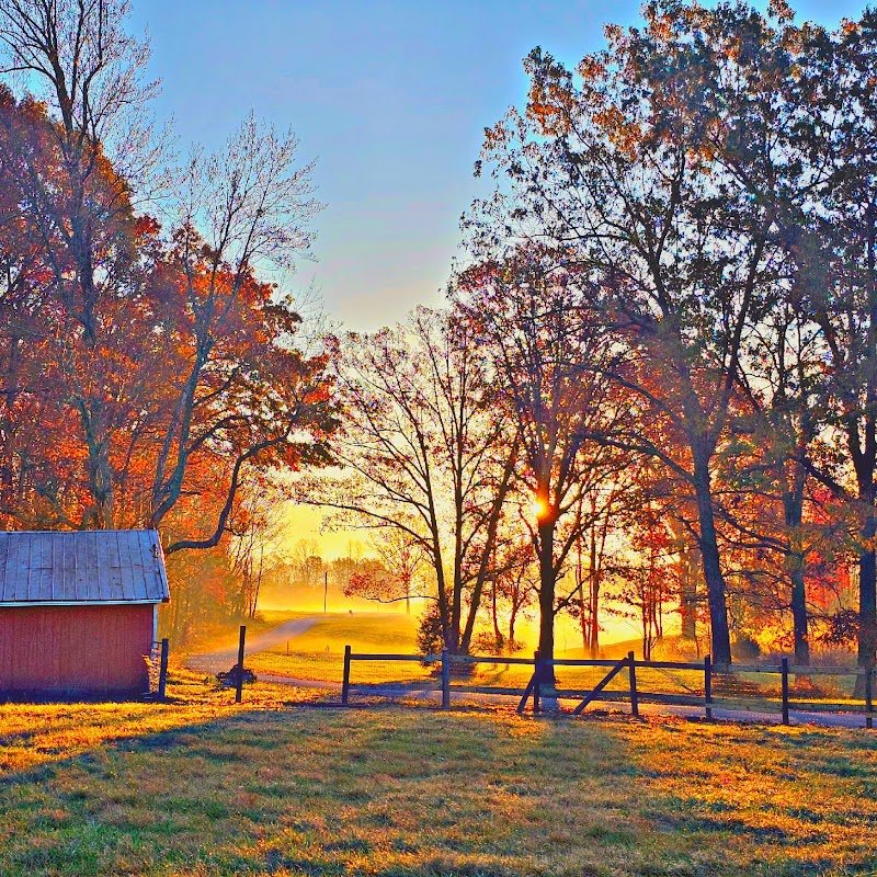 Victory Branch Farm