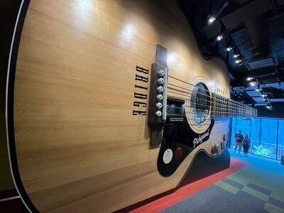 Country Music Hall of Fame and Museum photo
