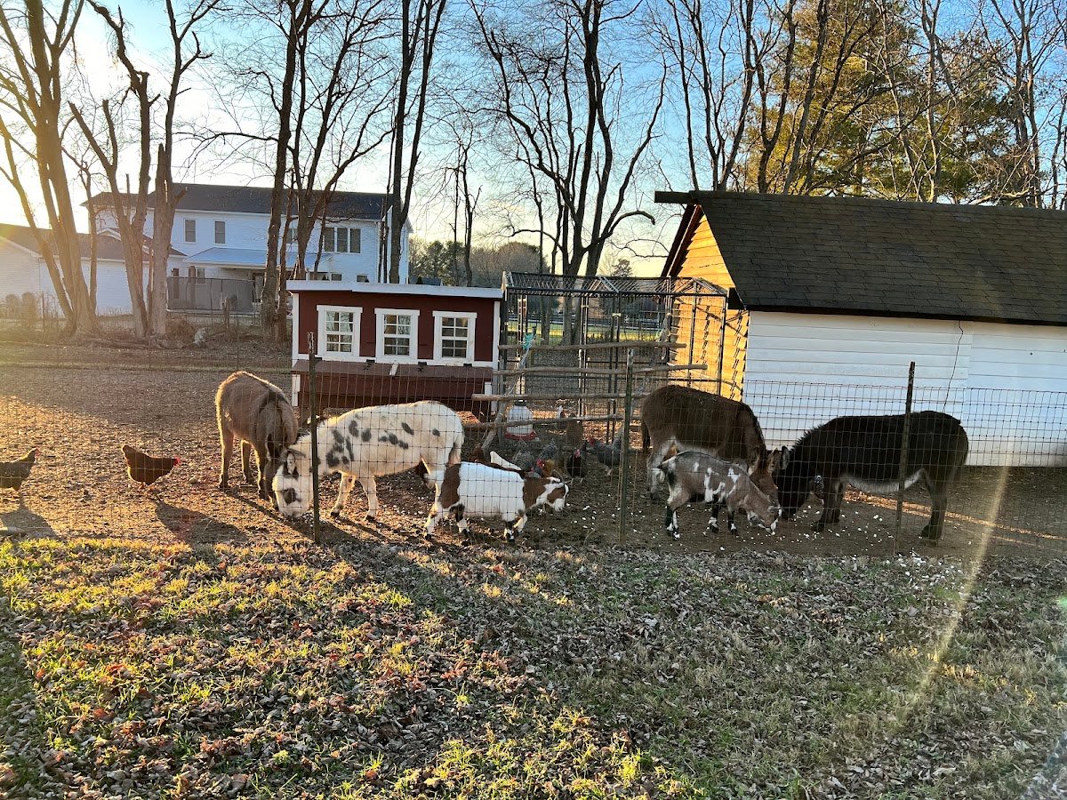 Breezy Hill Farms TN