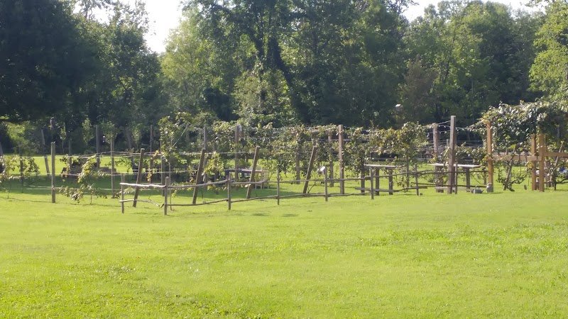 Sinking Creek Farm