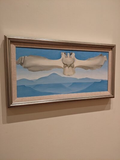 Carl Van Vechten Art Gallery photo