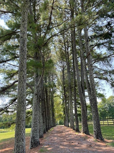 Rural Hill Farm photo