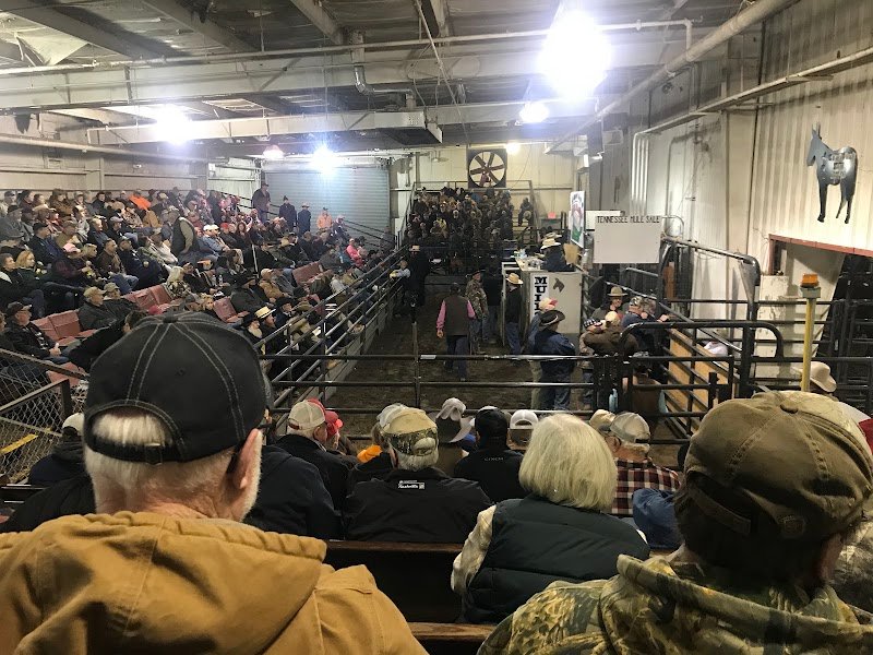 Westmoreland Expo Center