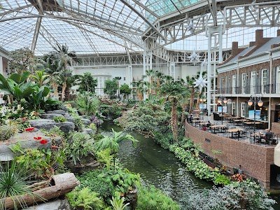 Garden Conservatory at the Gaylord Opryland photo