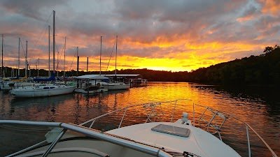 The Cove at Elm Hill Marina photo