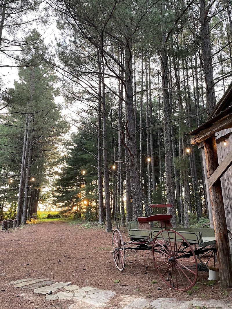 Dovetail Forest Retreat