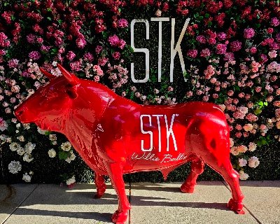 STK Steakhouse photo