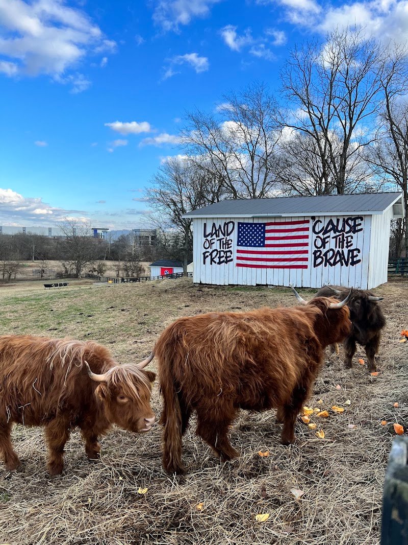 Breezy Hill Farms TN photo