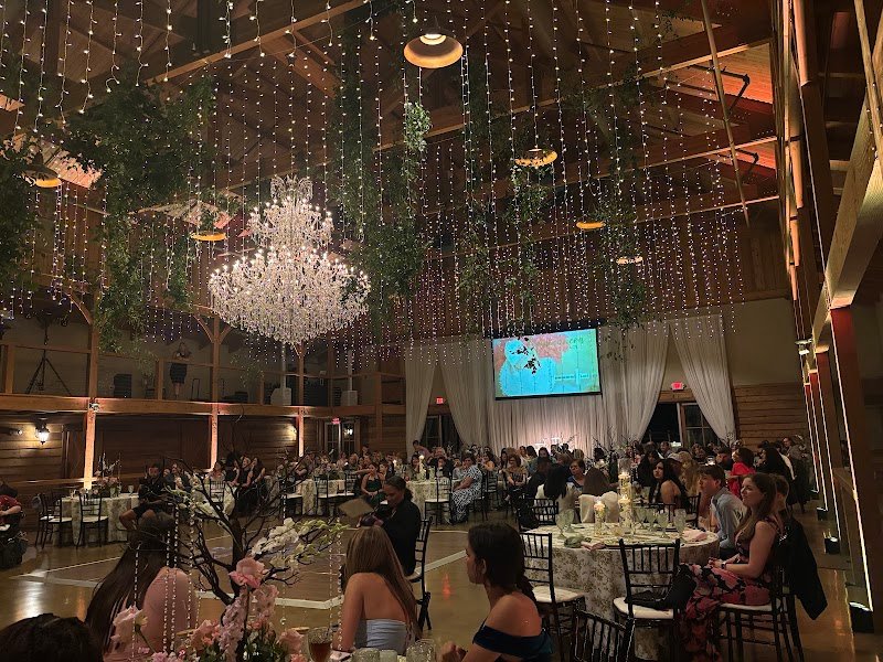 Southern Sky Event Lighting & Draping