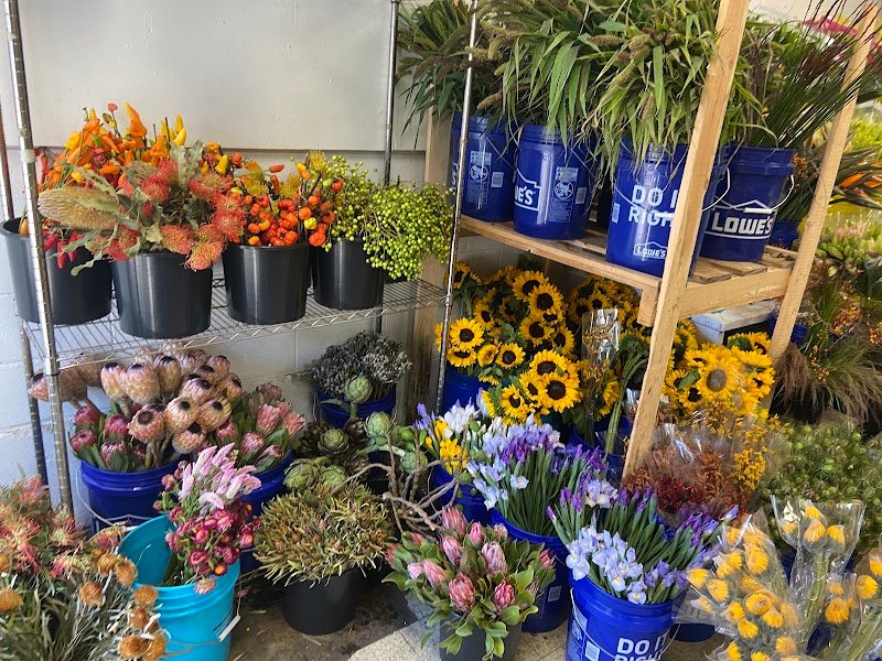 Import Flowers Nashville