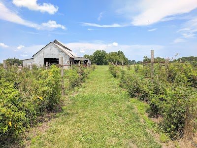 Williamson Family Farm photo