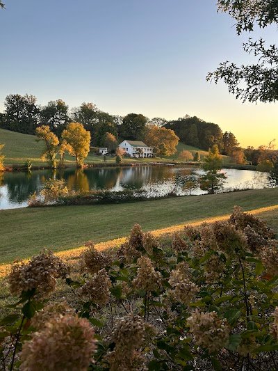 Mint Springs Farm photo