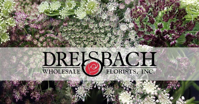 Dreisbach Wholesale Florists
