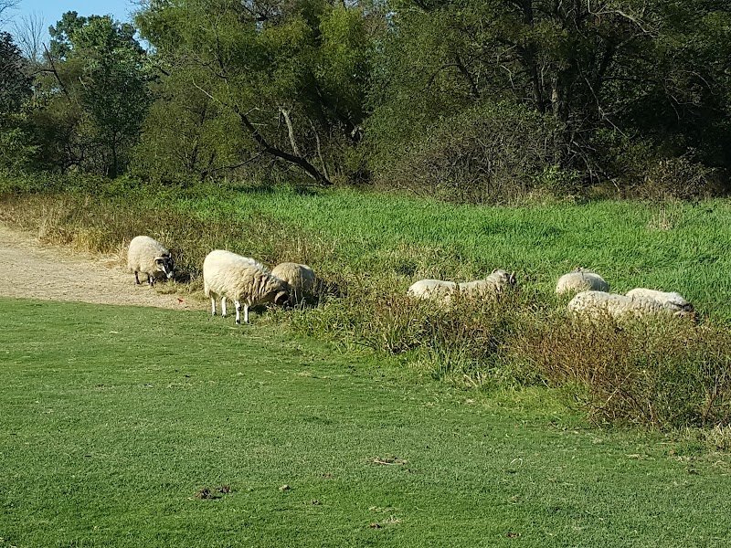 Hermitage Golf Course photo
