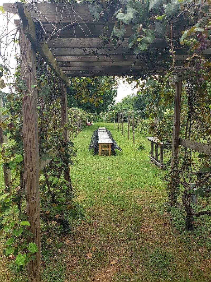 Sinking Creek Farm photo