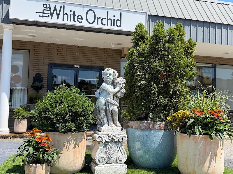 The White Orchid