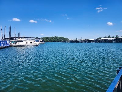 The Cove at Elm Hill Marina photo
