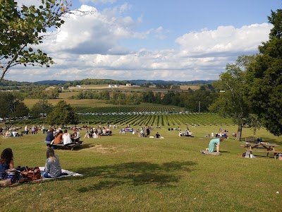 Arrington Vineyards photo