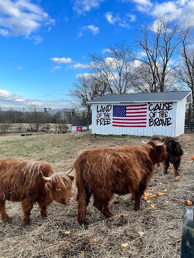 Breezy Hill Farms TN photo