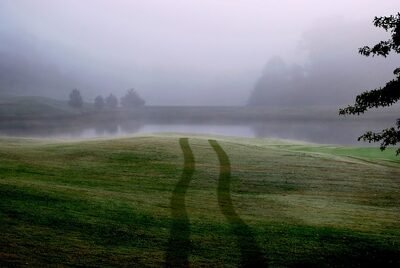 Country HIlls photo